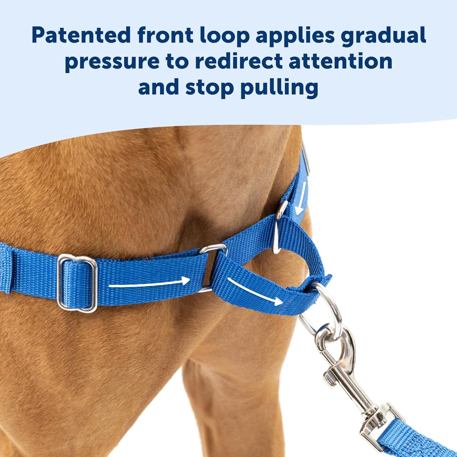 Easy Walk No-Pull Dog Harness - the Ultimate Harness to Help Stop Pulling - Take Control & Teach Better Leash Manners - Helps Prevent Pets Pulling on Walks, Medium/Large, Raspberry/Gray