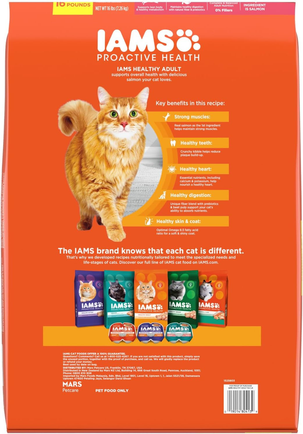 Proactive Health Adult Healthy Dry Cat Food with Real Salmon, 16 Lb. Bag