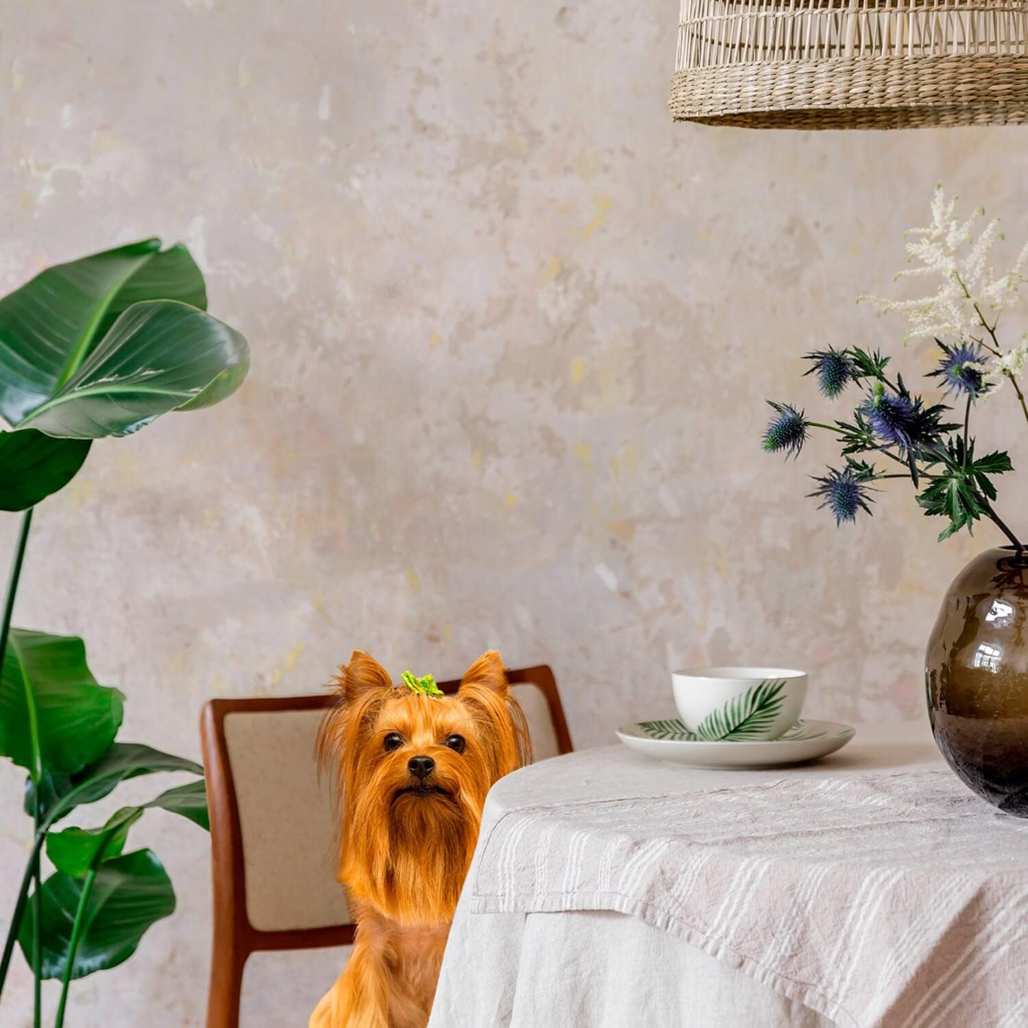 Small Breed Adult Gold Premium Dry Dog Food - Dry Adult Dog Food for Small Breeds - Chicken Recipe - 15 Lb