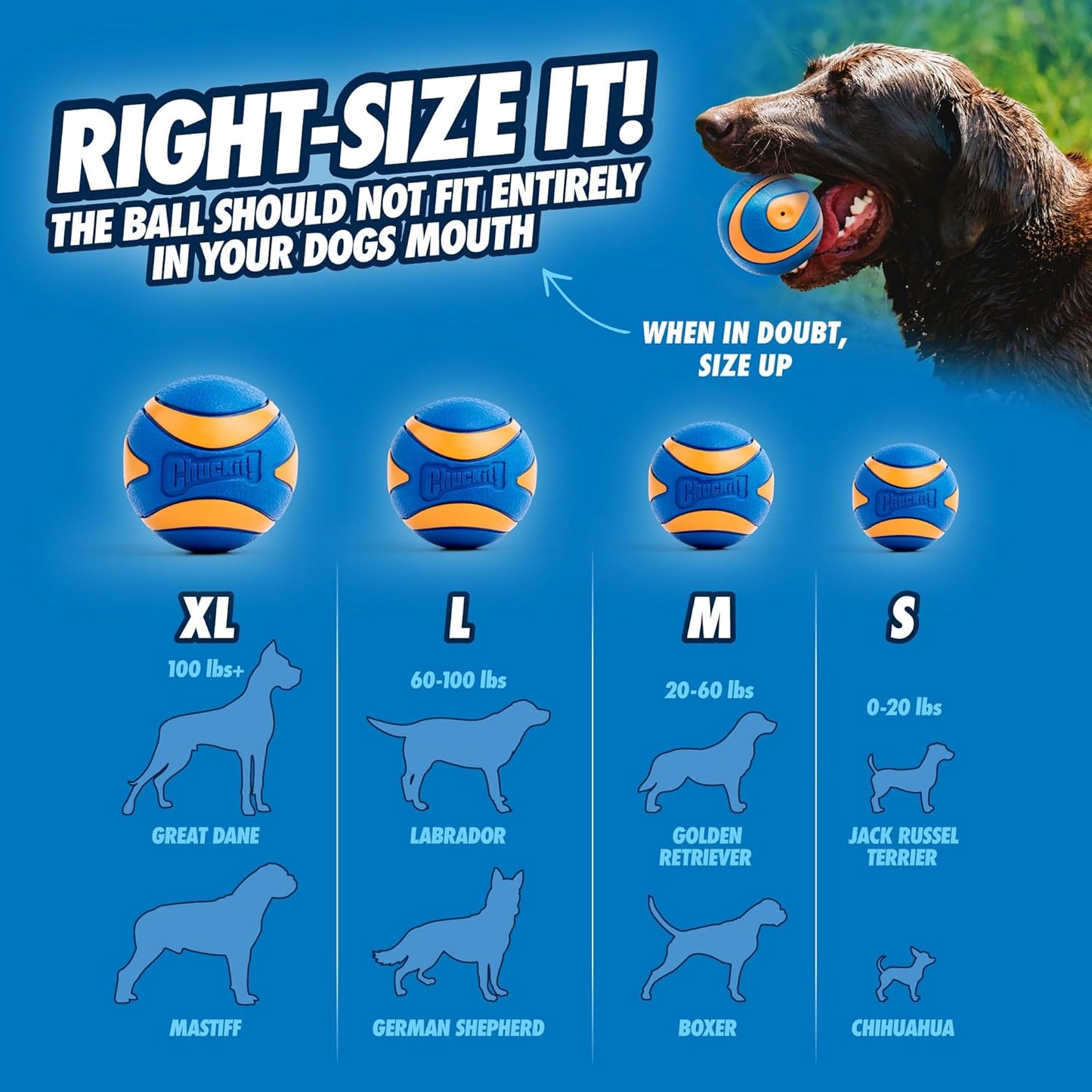 Ultra Squeaker Balls for Dogs, Floating Water Pet Toys, Durable Rubber Pet Toy, Bouncy Squeaky Fetch Balls for Dogs, Pack of 2, Medium (2.5")