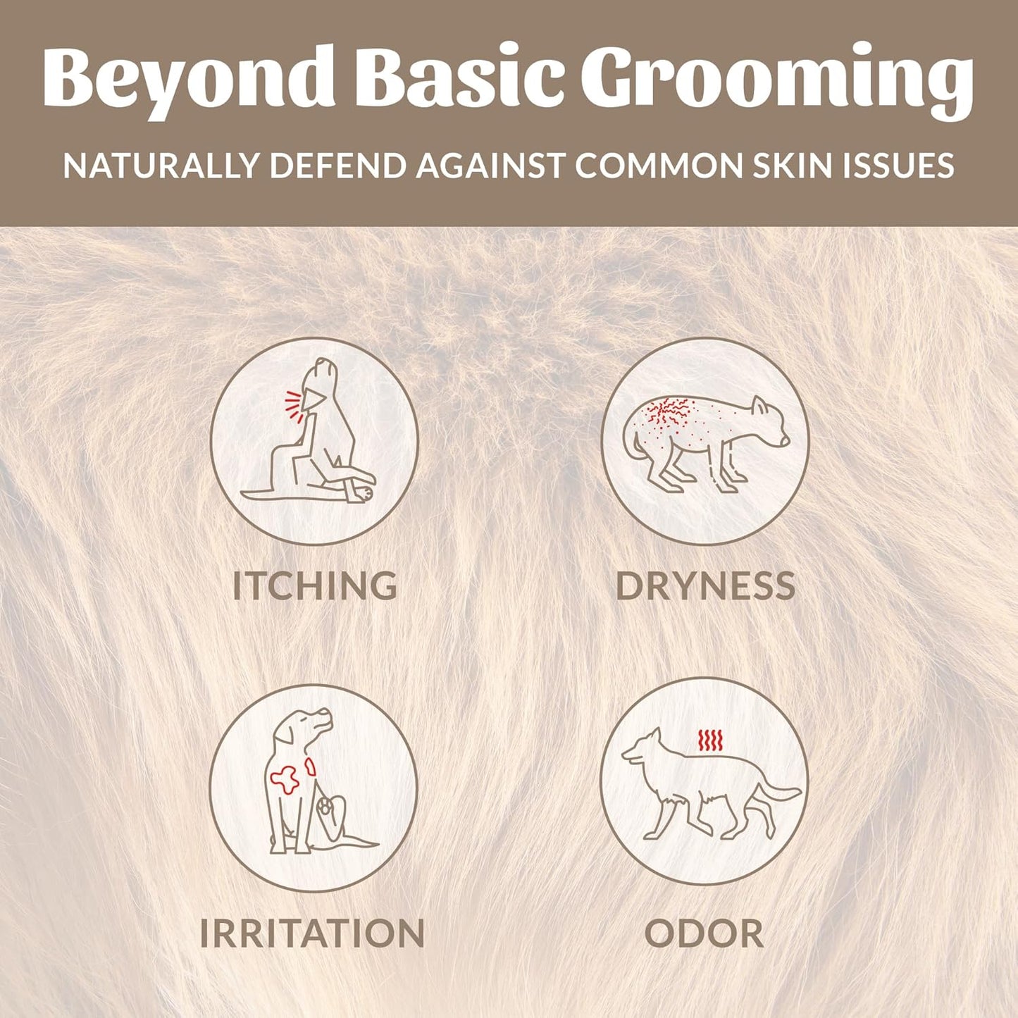 Probiotic Pet Shampoo & Conditioner with Avocado Oil & Omega-3S, 97% Natural, Paraben & Sulfate-Free, Cruelty-Free, 16Oz, Dog of the Woods