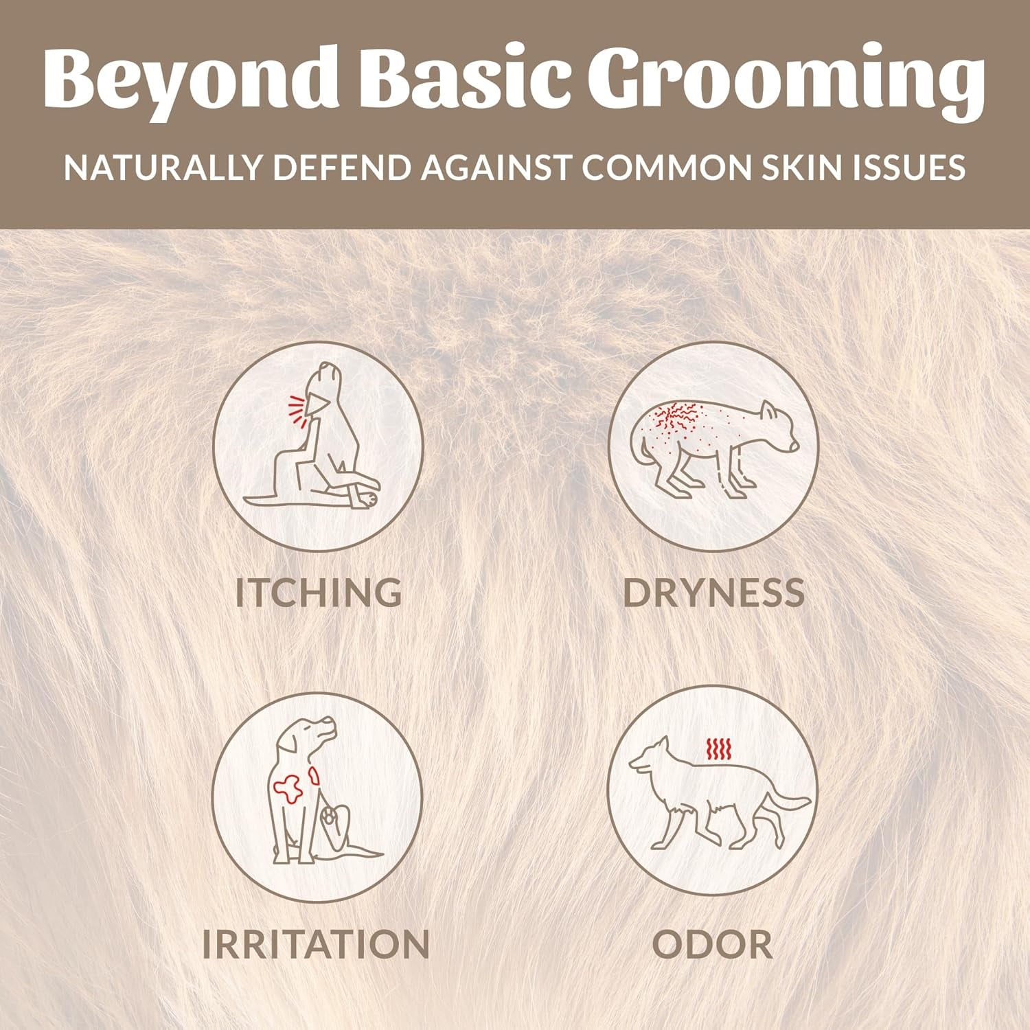 Probiotic Pet Shampoo & Conditioner with Avocado Oil & Omega-3S, 97% Natural, Paraben & Sulfate-Free, Cruelty-Free, 16Oz, Dog of the Woods