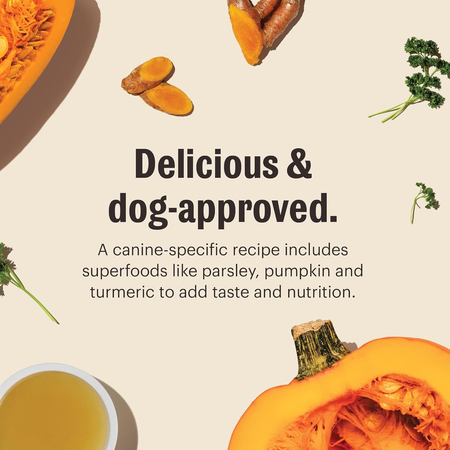 Human Grade Daily Boosts Instant Beef Bone Broth with Turmeric for Dogs 3.6 Ounces