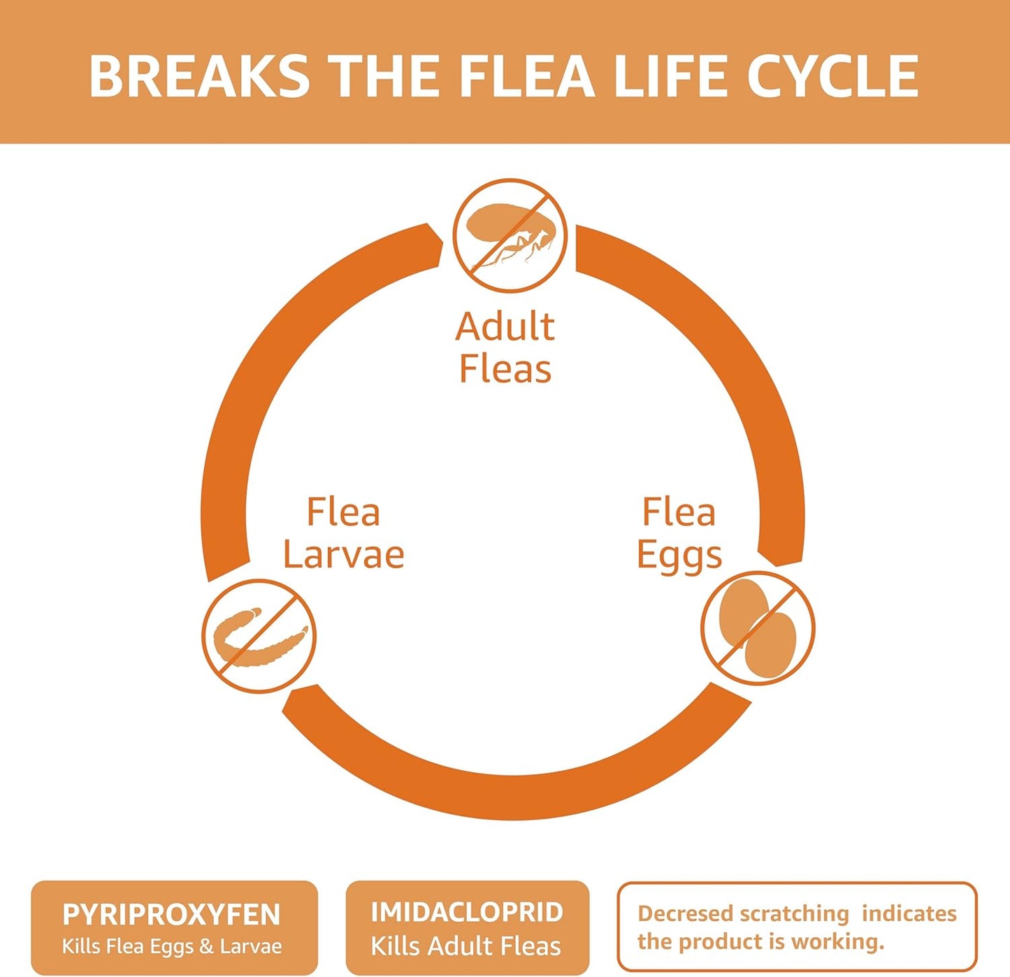 Topical Flea Treatment for Medium Cats (5-9 Pounds), 6 Count (Previously Solimo)