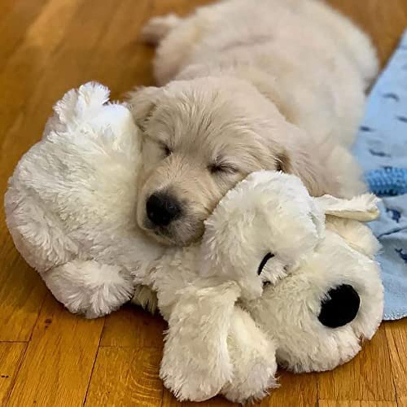 Original  Heartbeat Puppy Toy - Heartbeat Puppy for Dogs - Pet Anxiety Relief and Calming Aid - Comfort Dog Toy - Behavioral Training and Sleep Aid Cuddle Buddy - Crate Training Essential