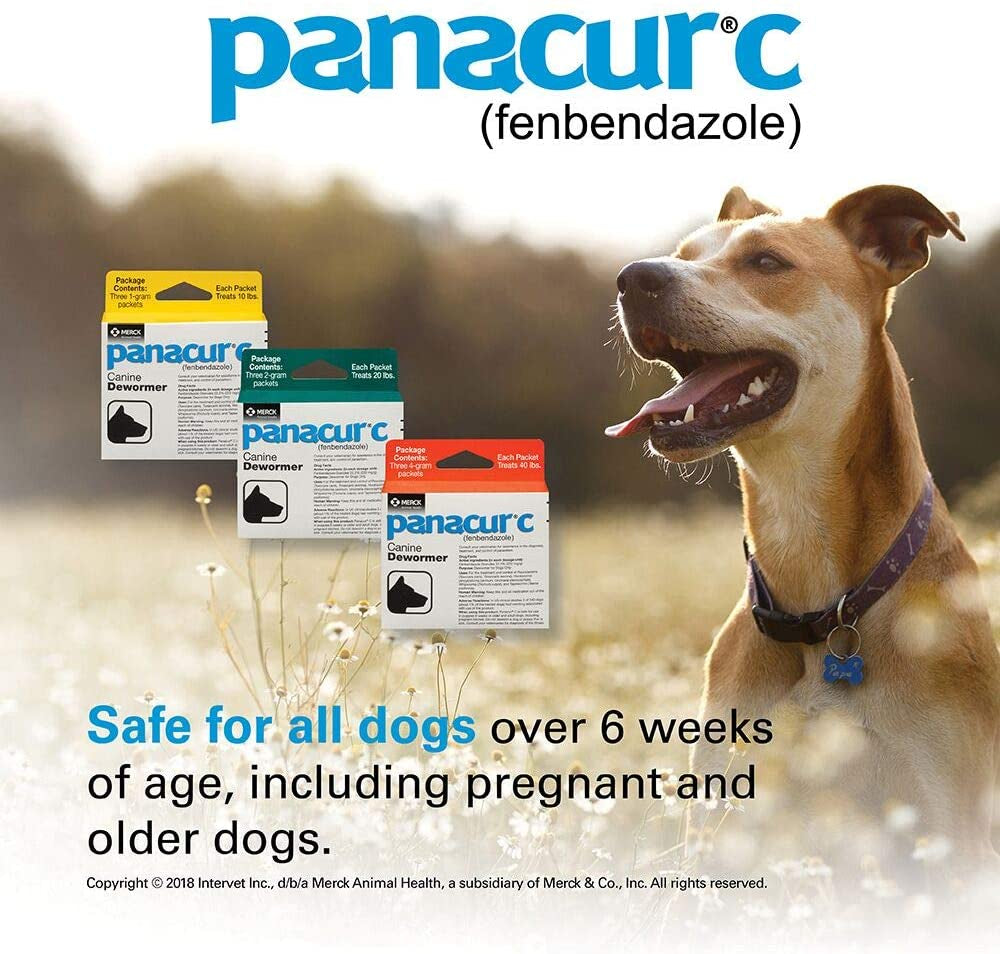 C Canine Dewormer (Fenbendazole), 2 Gram,White