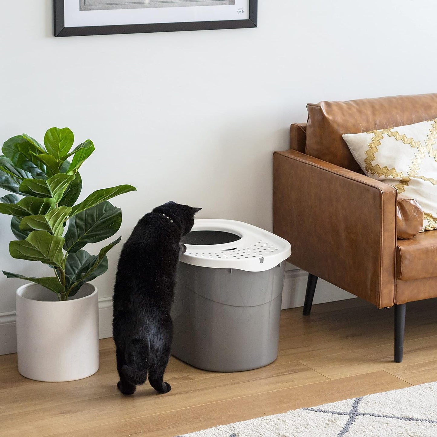 USA Top Entry Cat Litter Box, Large Enclosed with Litter Catching Lid and Scoop, Dog Proof, Cat Litter Box, Gray/White