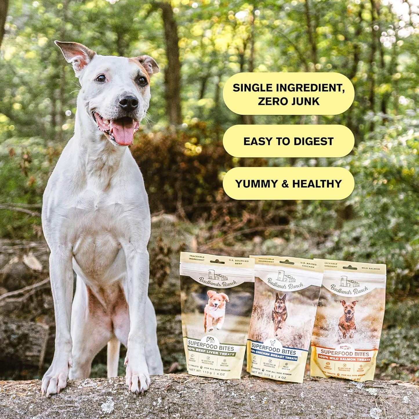 - Superfood Bite, Freeze-Dried Raw Dog Treats - Protein Rich, Train & Reward, Traceable Single Ingredient by Katherine Heigl (Wild Salmon)