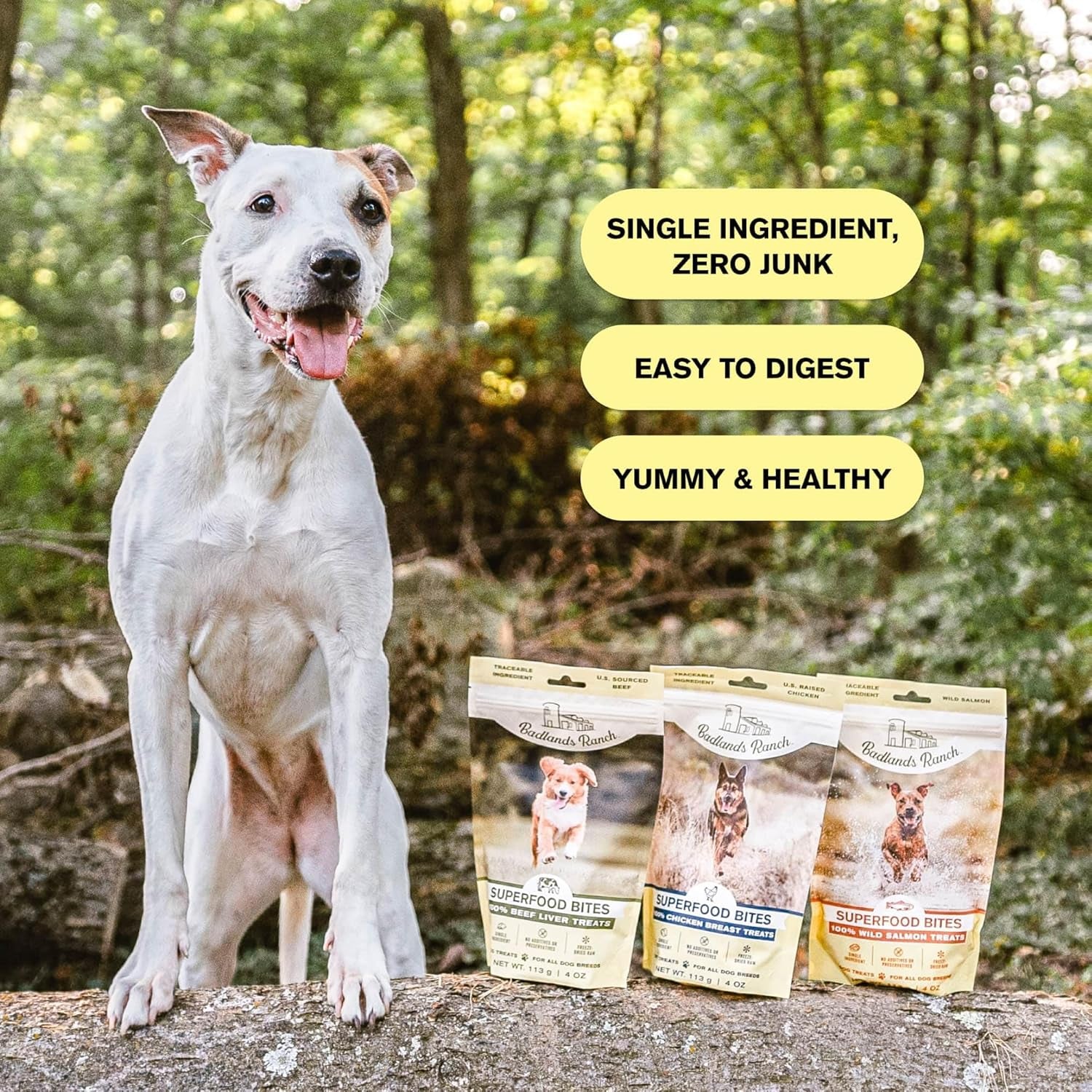- Superfood Bite, Freeze-Dried Raw Dog Treats - Protein Rich, Train & Reward, Traceable Single Ingredient by Katherine Heigl (Wild Salmon)