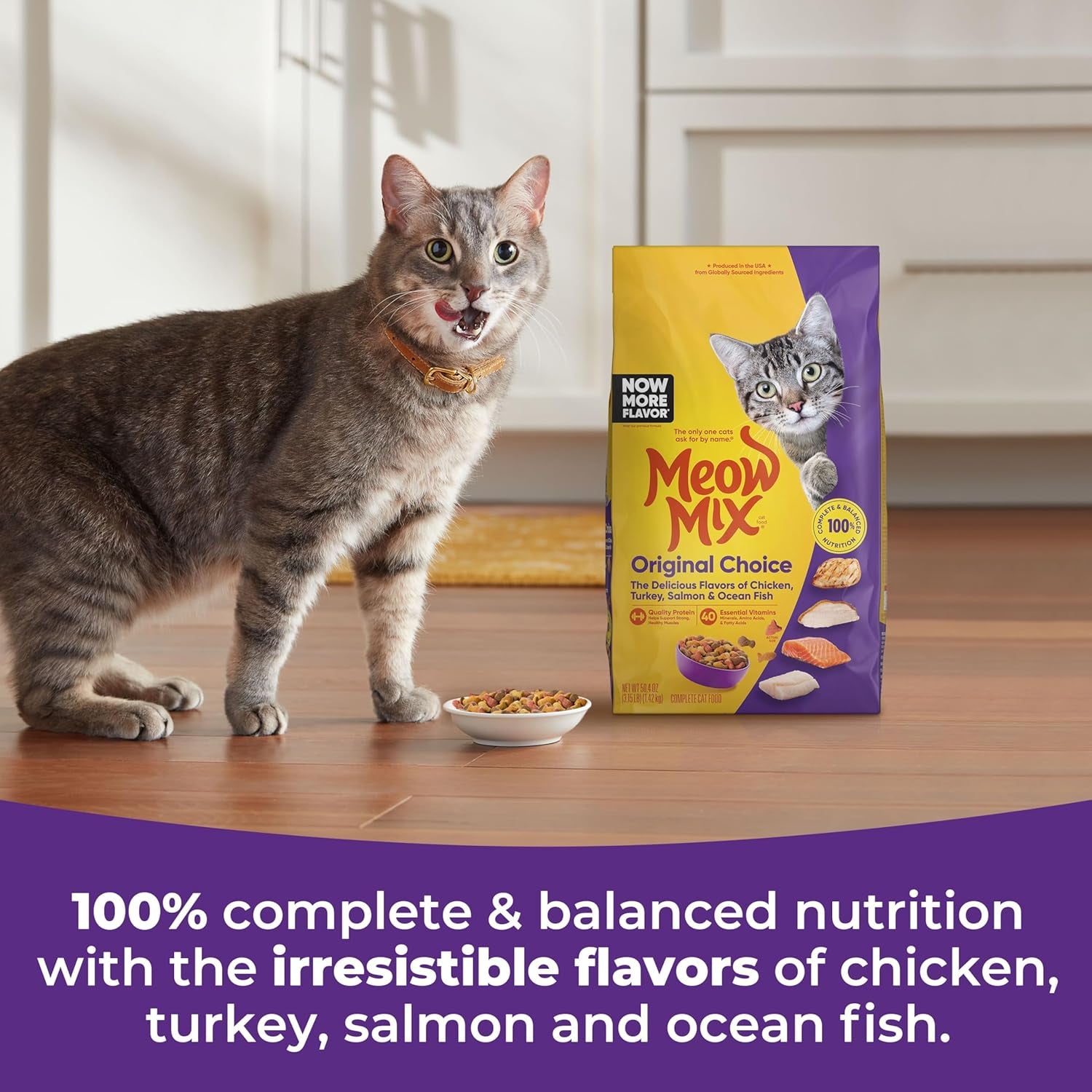 Original Choice Dry Cat Food, 3.15 Pound (Pack of 4)