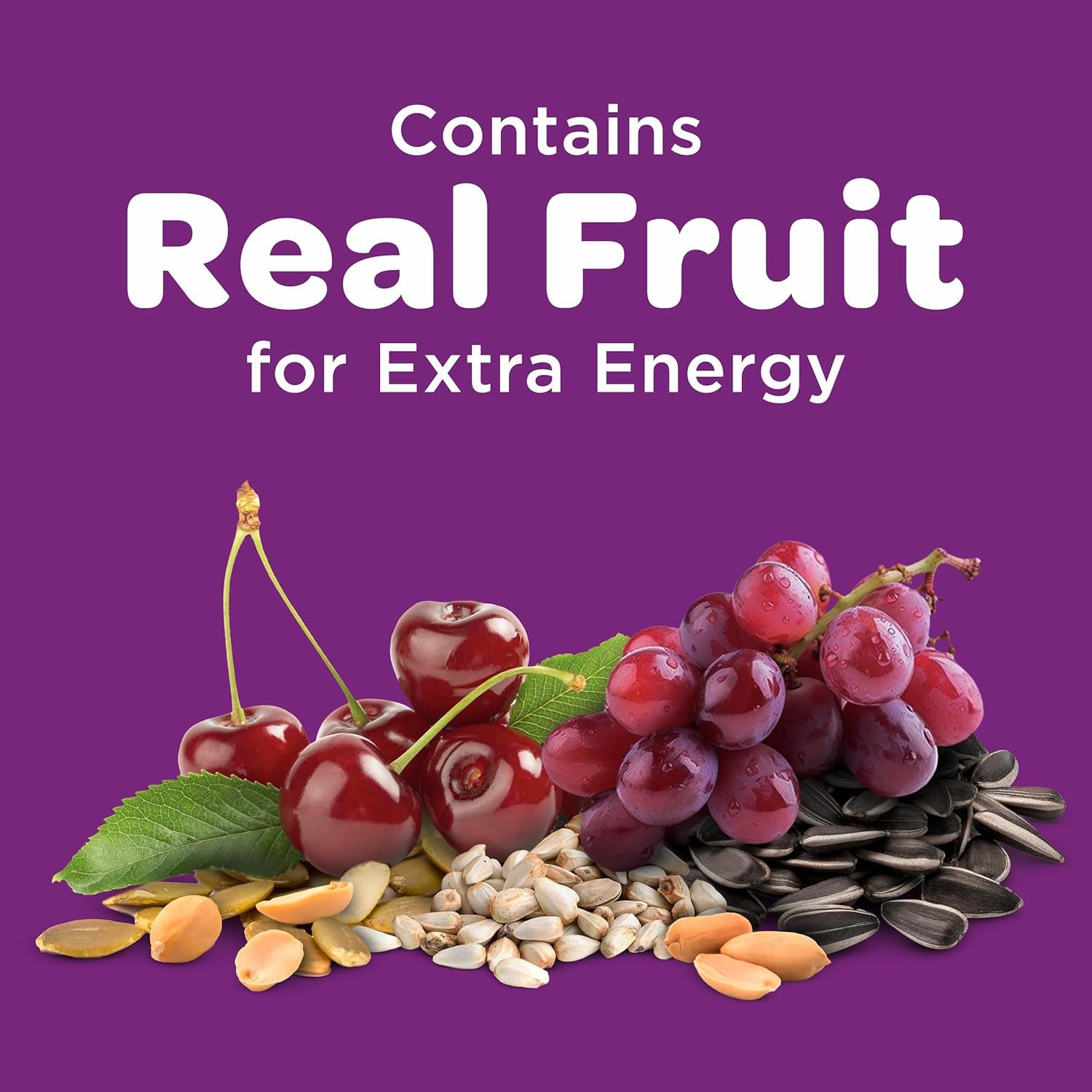 Nut & Fruit Wild Bird Seed, 5 Lb