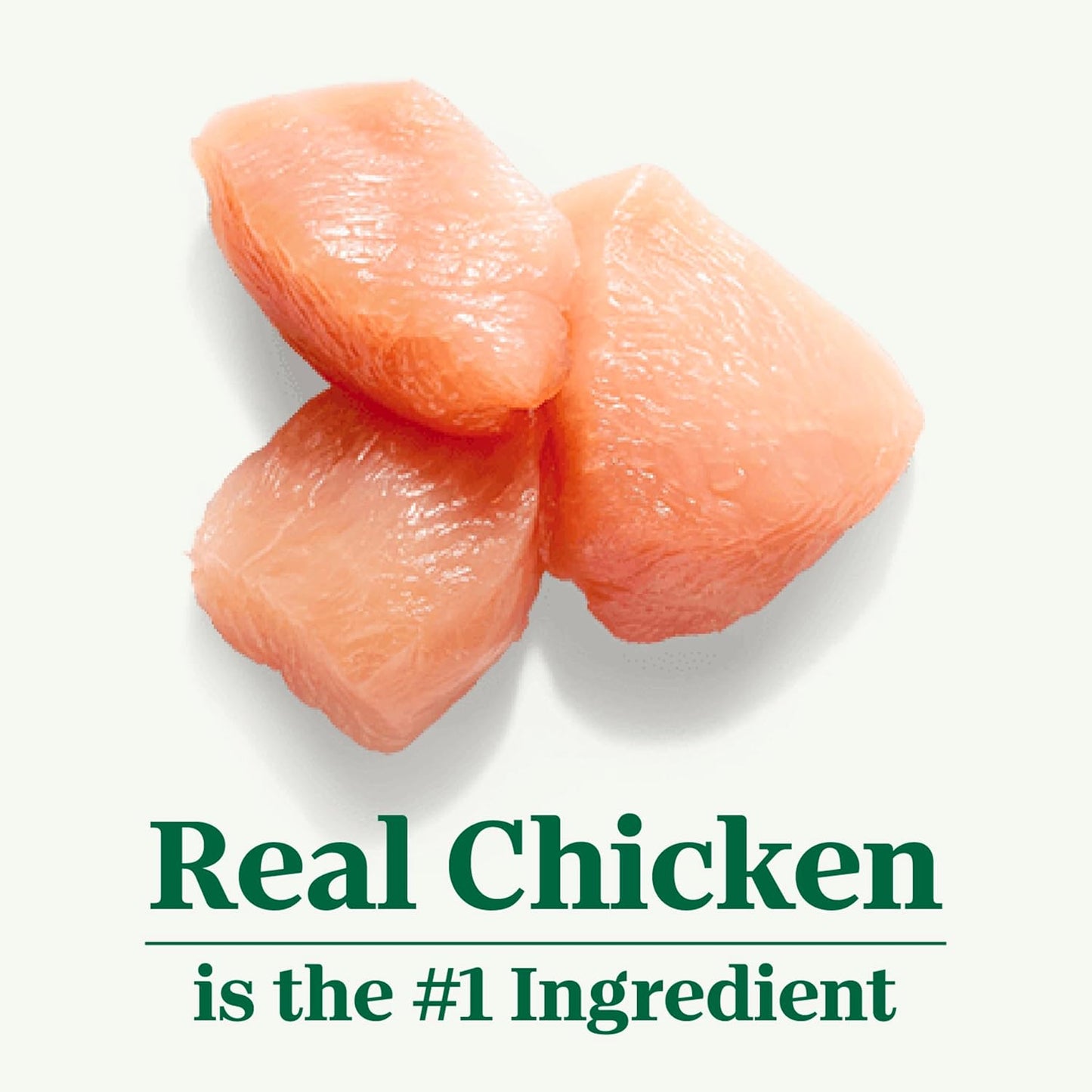 Wholesome Essentials Indoor Dry Cat Food, Chicken & Brown Rice Recipe, 5 Lb. Bag