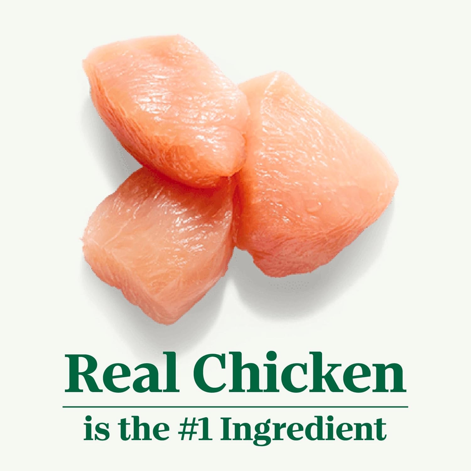 Wholesome Essentials Indoor Dry Cat Food, Chicken & Brown Rice Recipe, 5 Lb. Bag