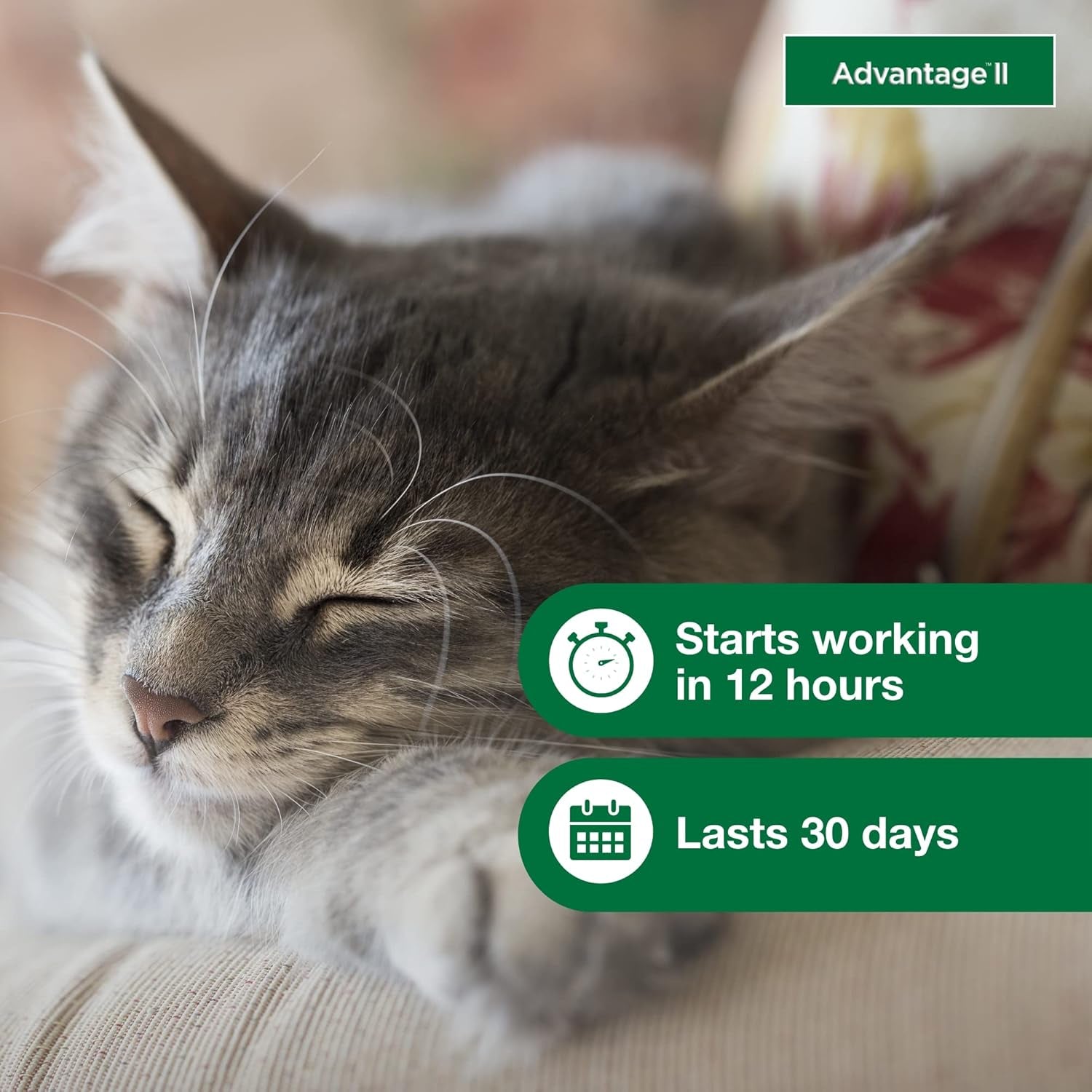 II Small Cat Vet-Recommended Flea Treatment & Prevention | Cats 5-9 Lbs. | 2-Month Supply