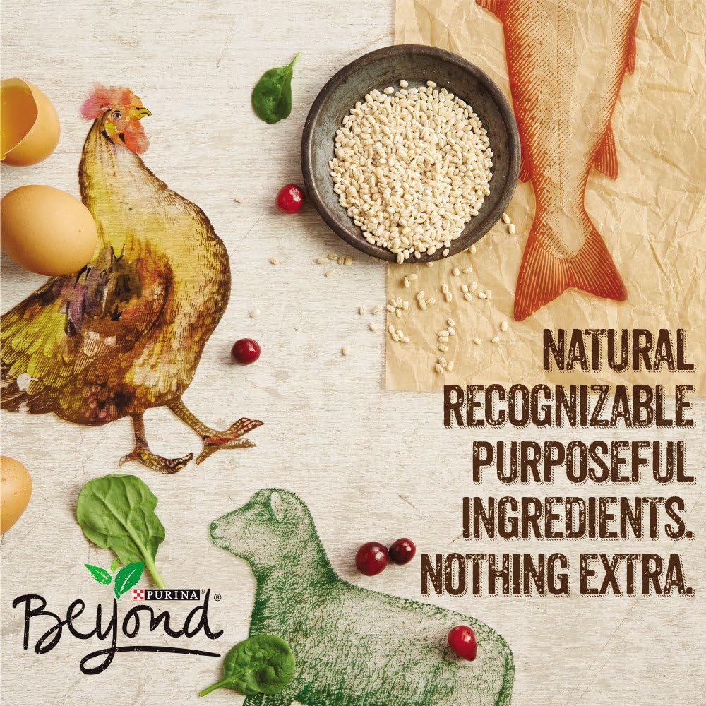 Chicken, Carrot and Pea Ground Grain Free Wet Dog Food Natural Pate with Added Vitamins and Minerals - (Pack of 12) 13 Oz. Cans