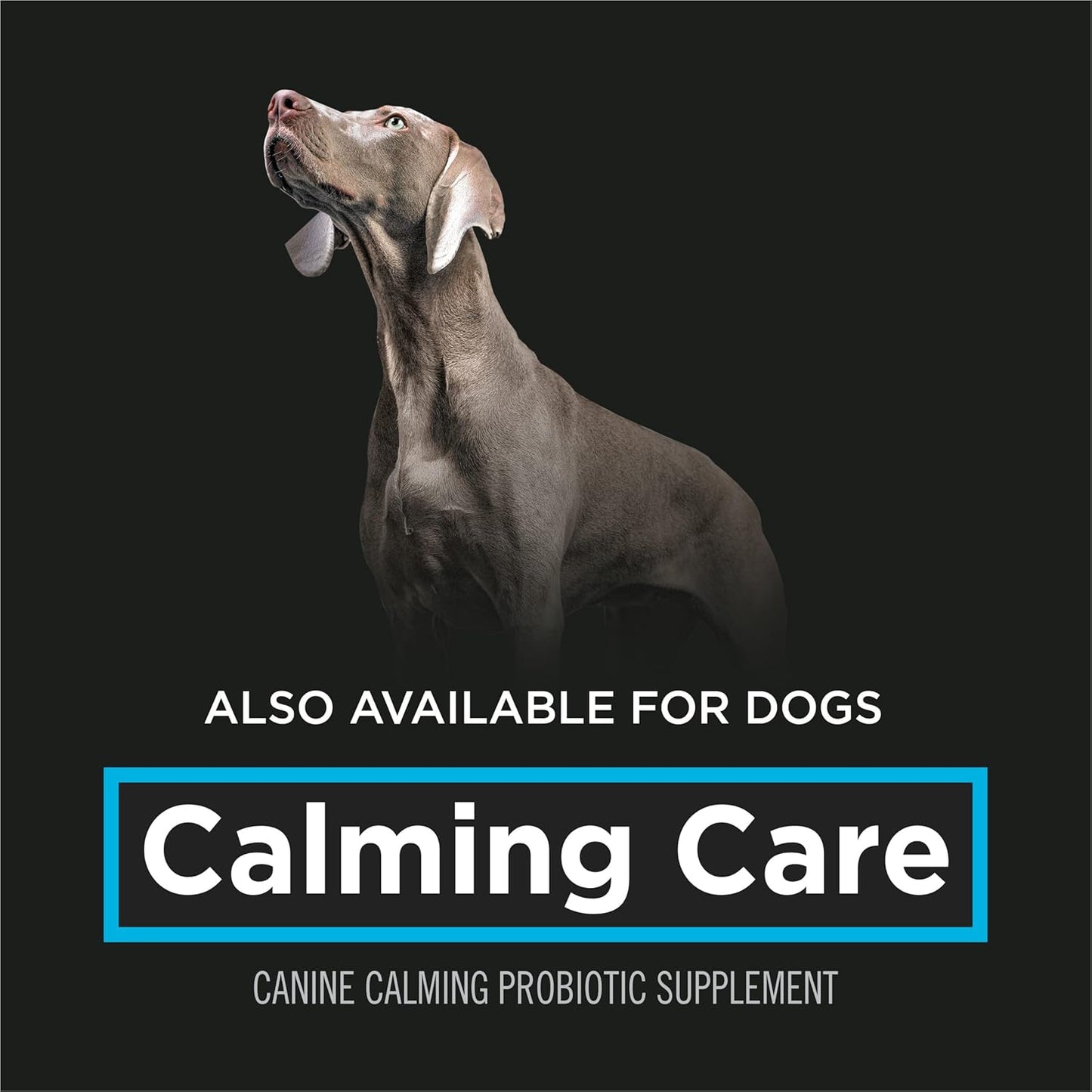 Purina Pro Plan Veterinary Supplements Calming Care Cat Supplements - 30 Ct. Box