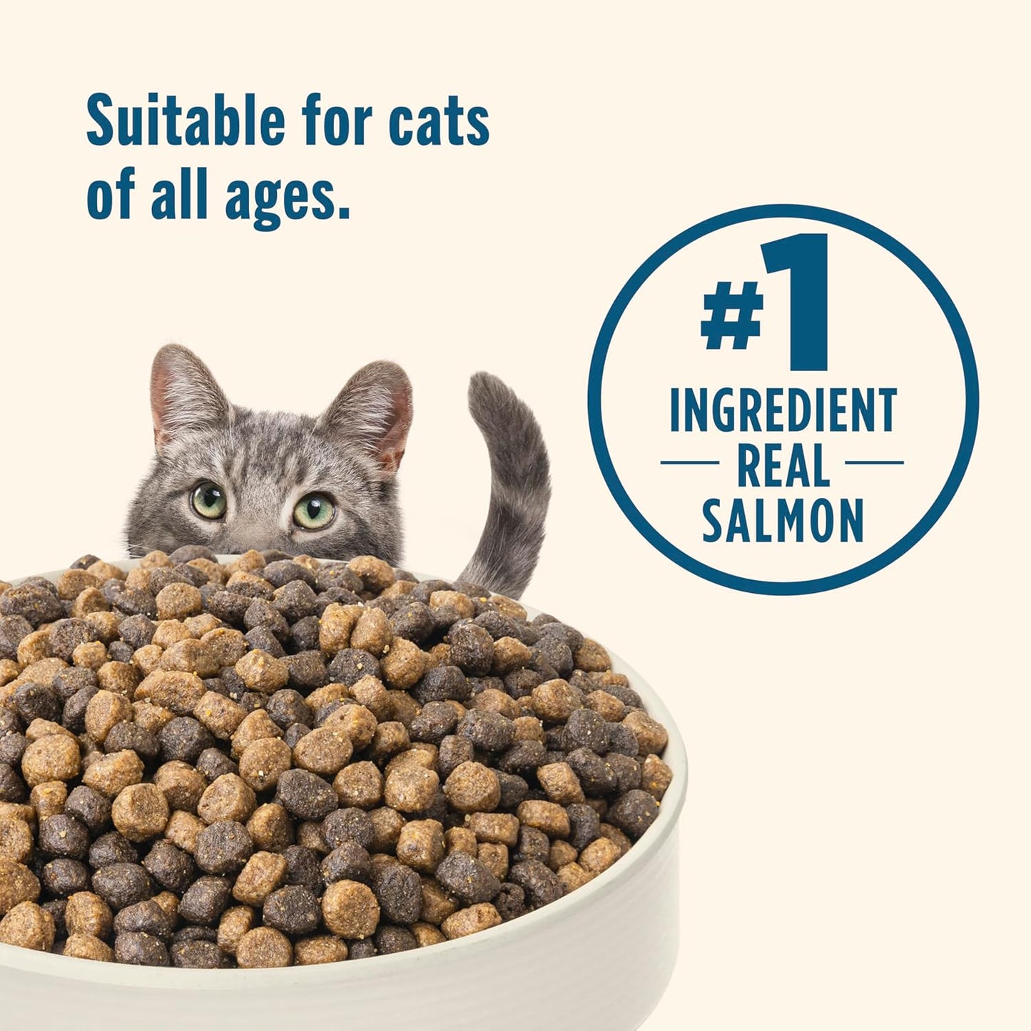 Real Salmon & Brown Rice Recipe Dry Cat Food, 14 Lb. Bag, Packaging May Vary (Rachael Ray)