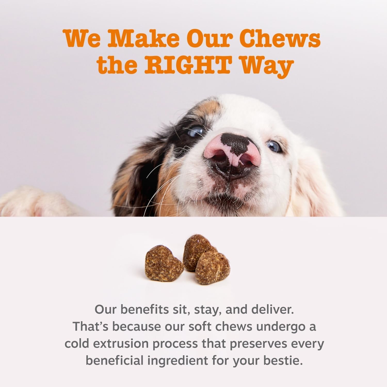 Vet Strength Probiotics for Dogs, Digestive Health & Gut Flora Support, Dog Supplements, 90 Count