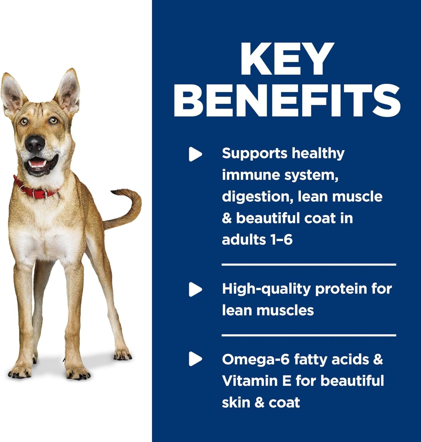 Adult 1-6, Adult 1-6 Premium Nutrition, Wet Dog Food, Chicken & Barley Loaf, 13 Oz Can, Case of 12