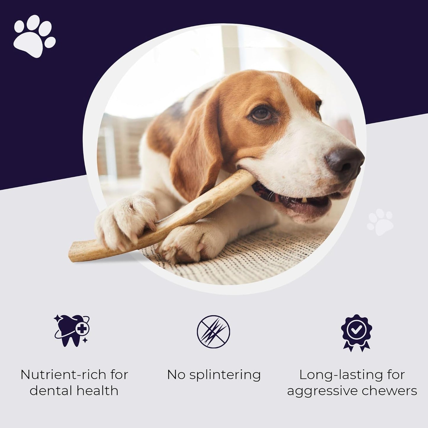 . Elk Antlers for Dogs, Medium 5"+, 1 Pack, Grade a Long Lasting Chew for Aggressive Chewers, Premium USA Naturally Shed Antler – Healthy, No Odor, Durable Dog Chew