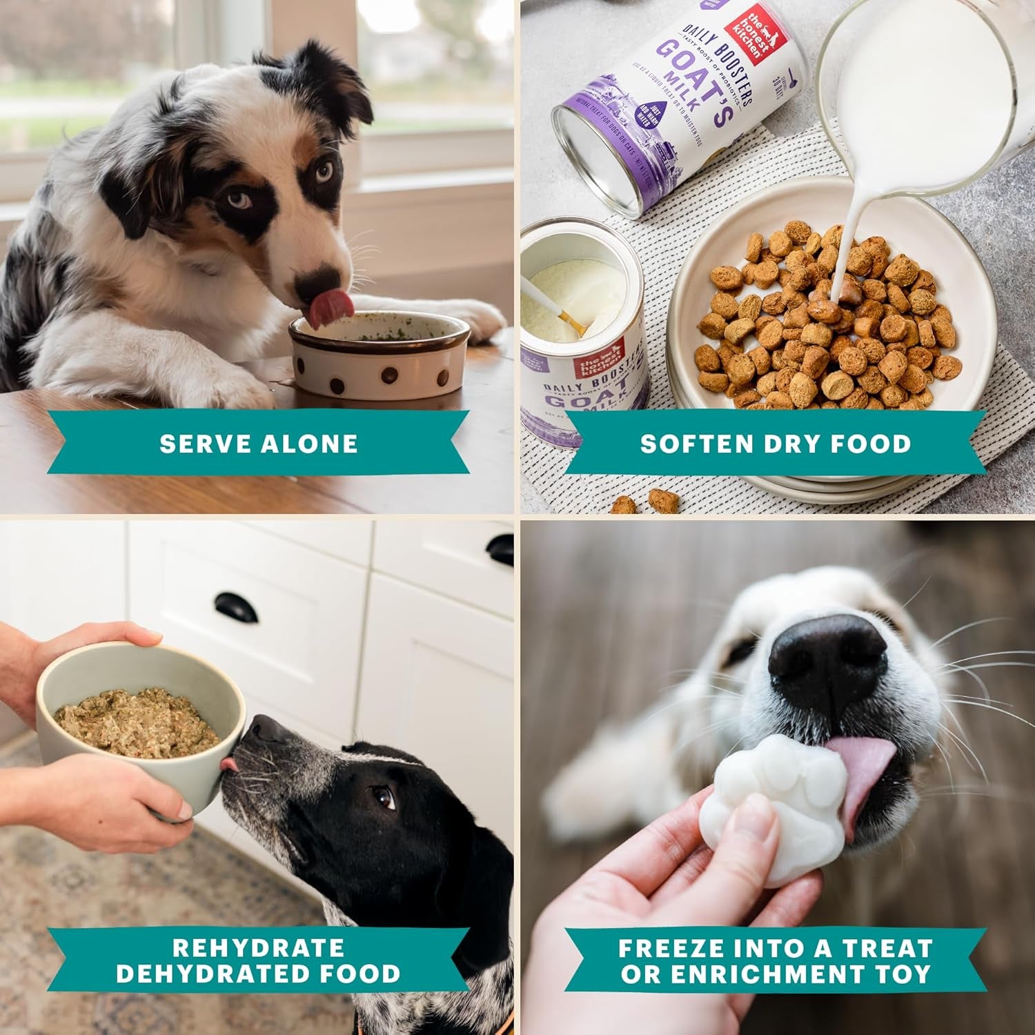 Human Grade Daily Boosts Instant Beef Bone Broth with Turmeric for Dogs 3.6 Ounces