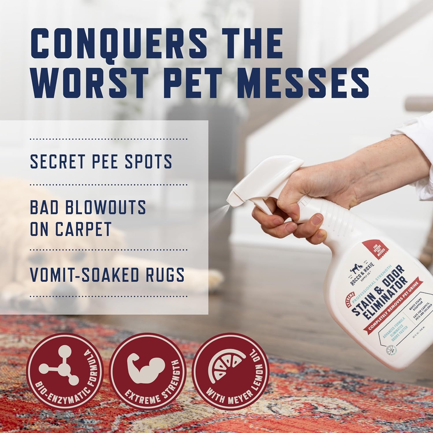 Rocco & Roxie Extreme Stain & Odor Eliminator for Strong Odor, Pet Urine Enzyme Cleaner Destroyer, Stain Remover for Dog Poop and Cat Pee, Enzymatic Carpet Cleaner Spray for Home, Puppy Potty Training