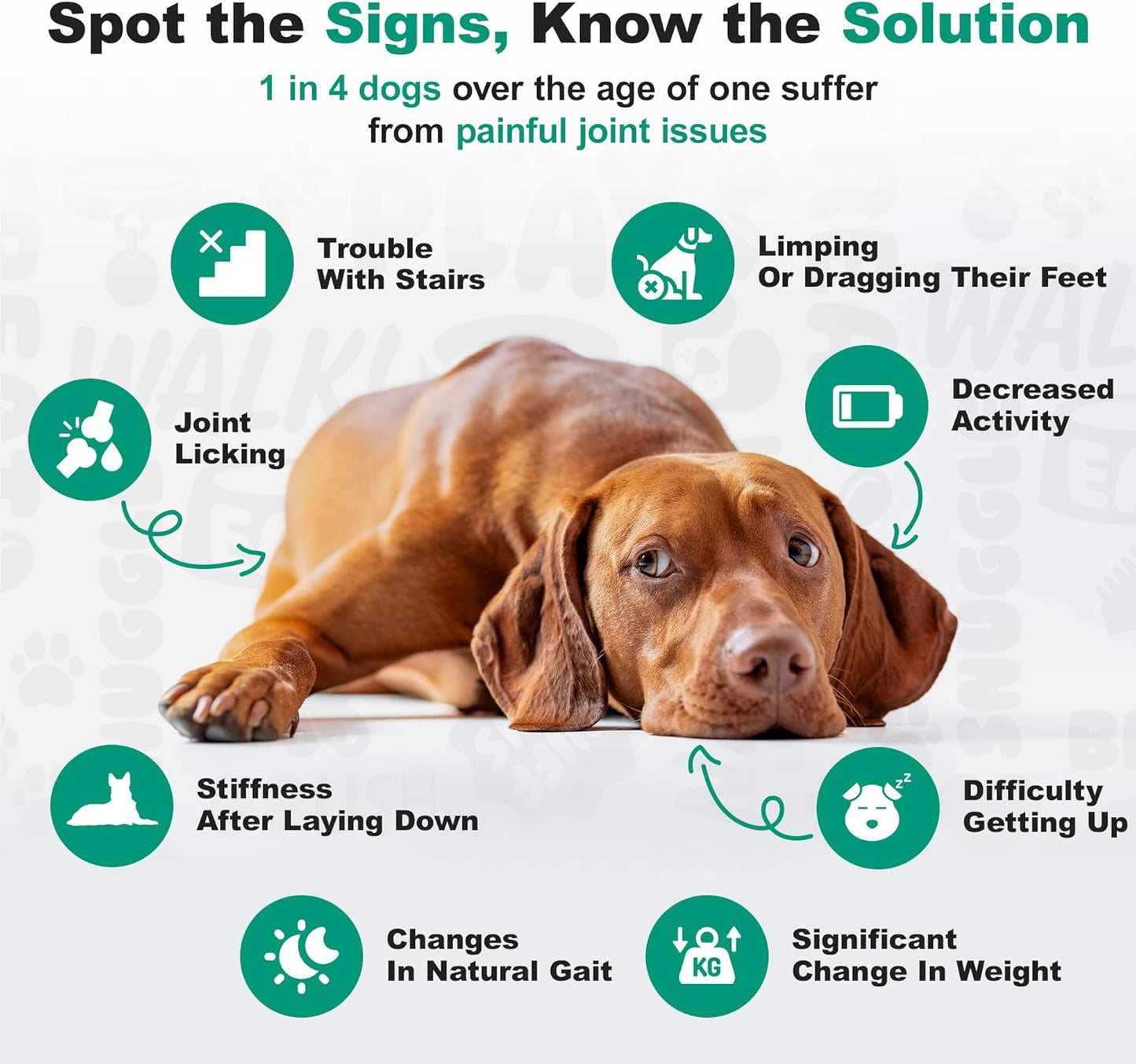 , Hip and Joint Supplement for Dogs, Glucosamine Chondroitin, Premium Hip and Joint Chews for Dogs All Breeds & Sizes, Dog Vitamins and Supplements, (Chicken) 225 Chews