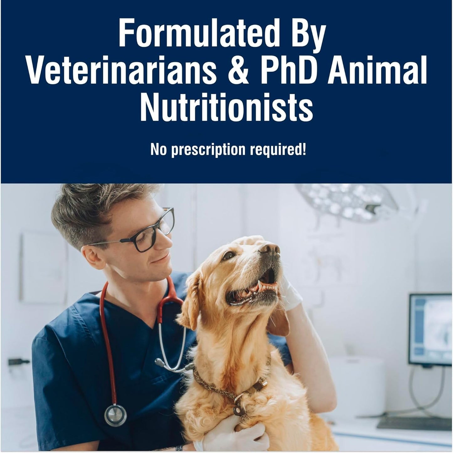 True Solutions Digestive Care Natural Dry Dog Food for Adult Dogs, Chicken, 11-Lb. Bag