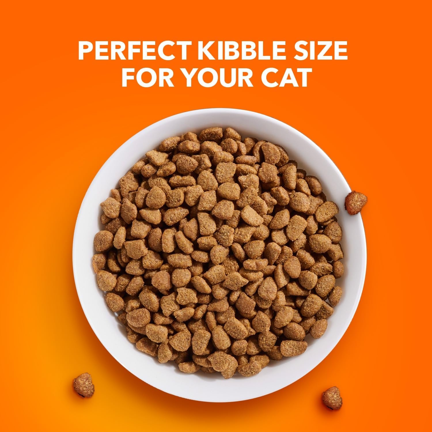 Proactive Health Adult Healthy Dry Cat Food with Chicken, 16 Lb. Bag