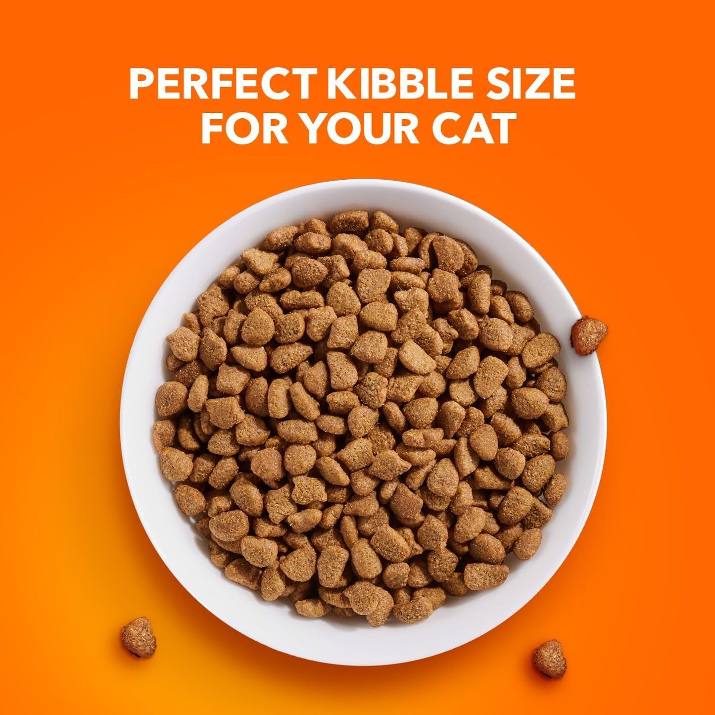 Proactive Health Indoor Weight Control & Hairball Care Adult Dry Cat Food, Chicken & Turkey Recipe, 7 Lb. Bag