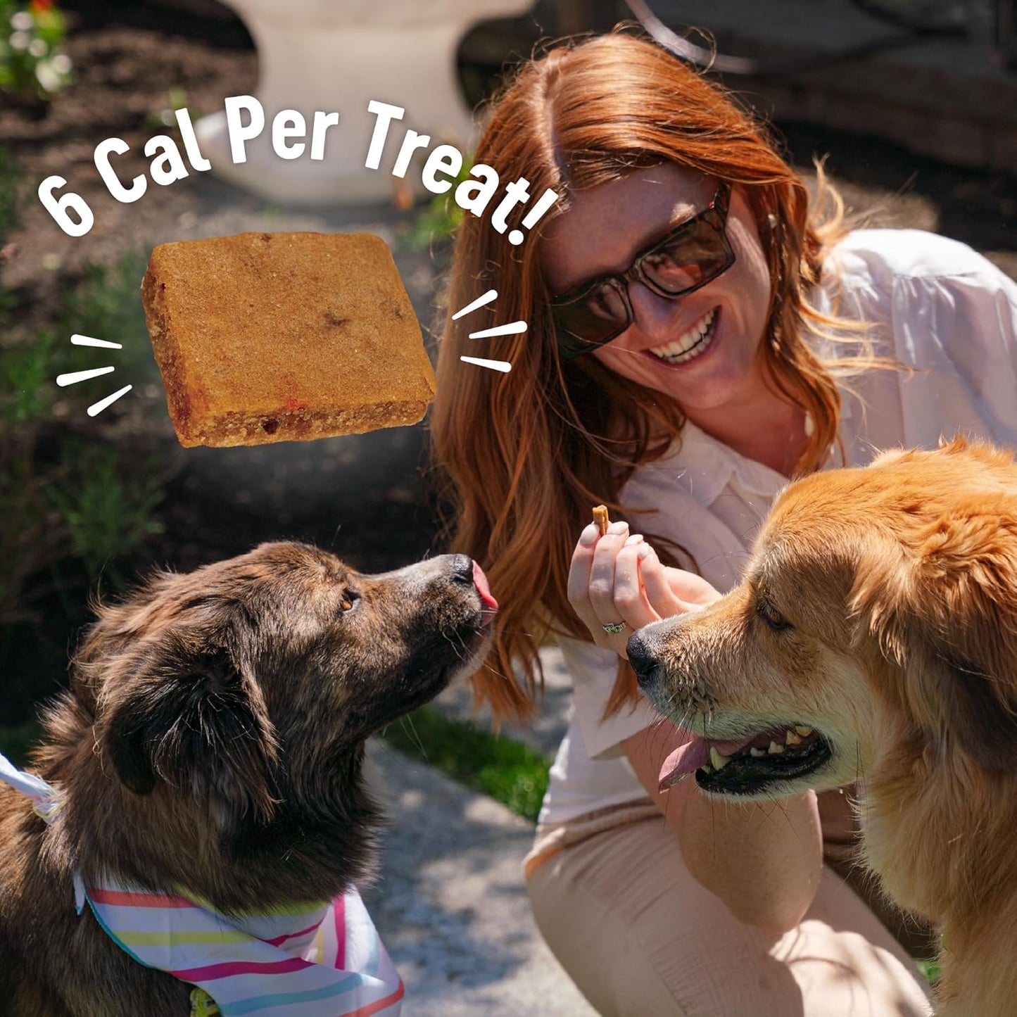 Puppy Treats, Natural, Training Treat, Grain Free, Soft Lamb & Salmon (3 Ounce Bag)