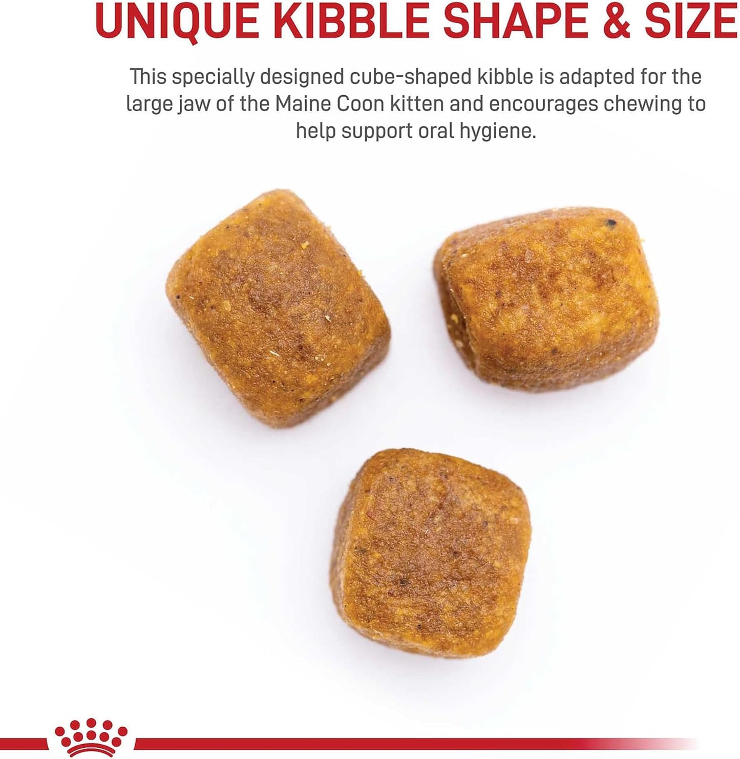 Maine Coon Breed Dry Kitten Food, 3 Lb Bag