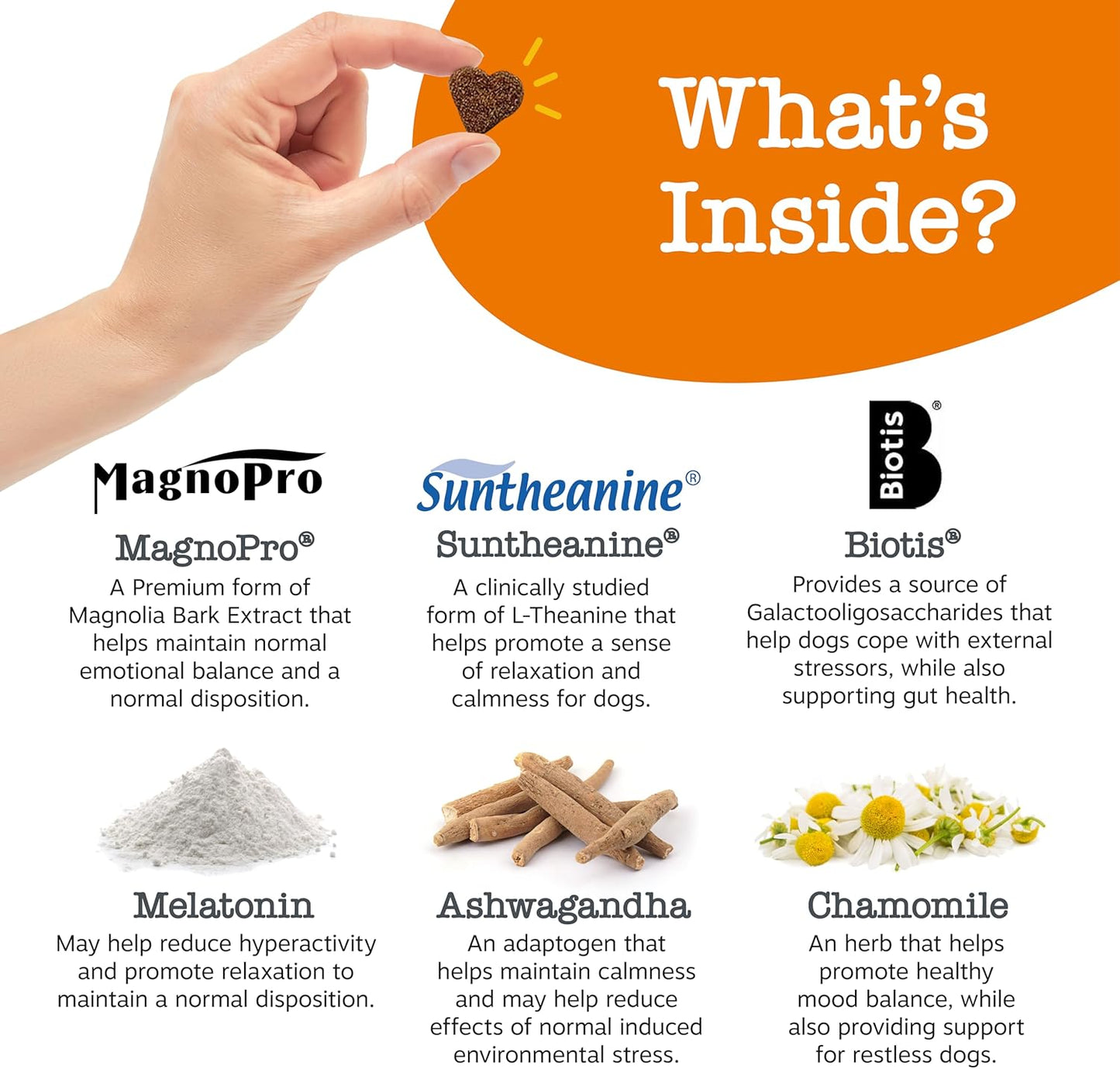 Vet Strength Calming Chews for Dogs - for Everyday Stress, Relaxation, Composure, and Separation Smoked Turkey 90 Count