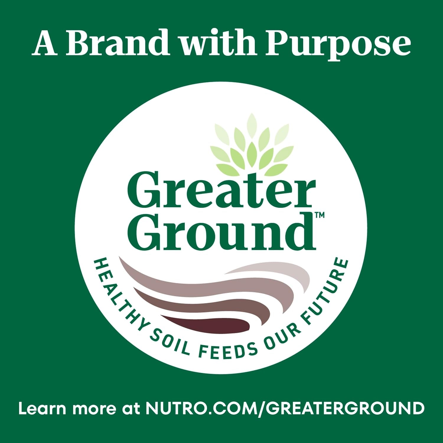 Wholesome Essentials Adult Dry Cat Food, Salmon & Brown Rice Recipe, 14 Lb. Bag