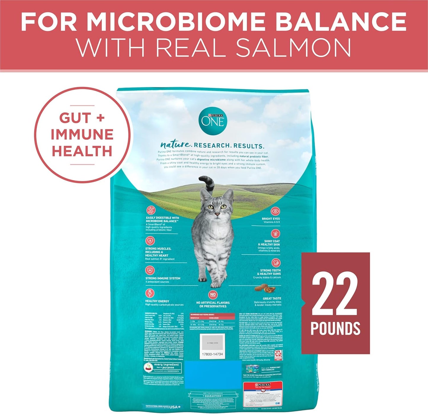 Natural Dry Cat Food, Tender Selects Blend with Real Salmon - 22 Lb. Bag