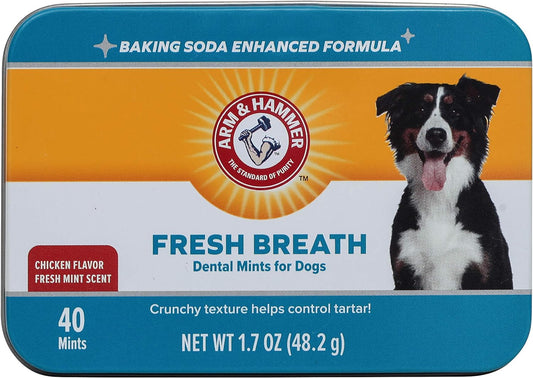 for Pets Dental Mints for Dogs, Fresh Breath | Get Fresh Doggie Breath without Brushing, Way to Fresher Dog Breath | Chicken Flavor, 40 Count (Packaging May Vary)