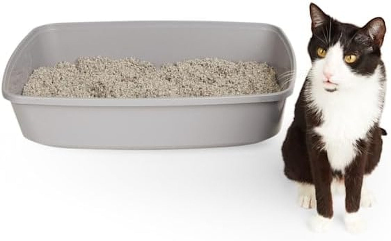 Open Cat Litter Box Grey X-Large 22.4" L X 16.9" W X 4.3" H