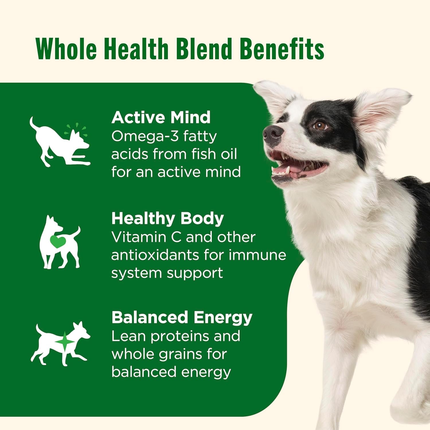 Dry Dog Food, Real Chicken & Veggies Recipe Whole Health Blend for Adult Dogs, 40 Lb. Bag, Packaging May Vary (Formerly Rachael Ray)