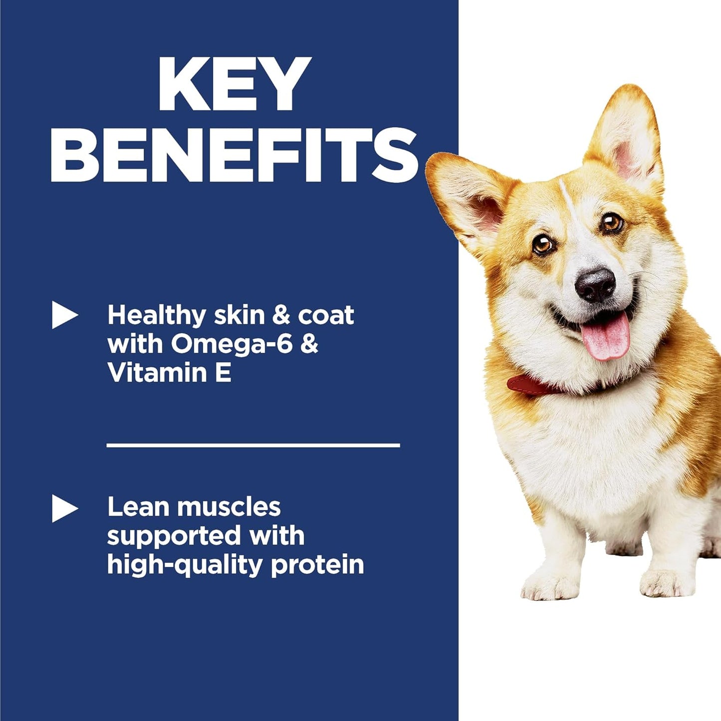 Adult 1-6, Adult 1-6 Premium Nutrition, Small Kibble, Dry Dog Food, Chicken & Barley, 5 Lb Bag