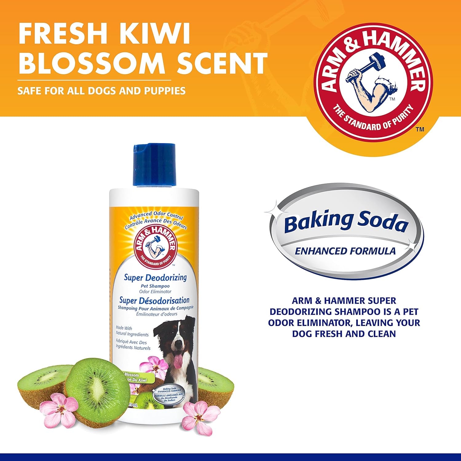 for Pets Super Deodorizing Shampoo for Dogs | Best Odor Eliminating Dog Shampoo | Great for All Dogs & Puppies, Fresh Kiwi Blossom Scent, 16 Oz