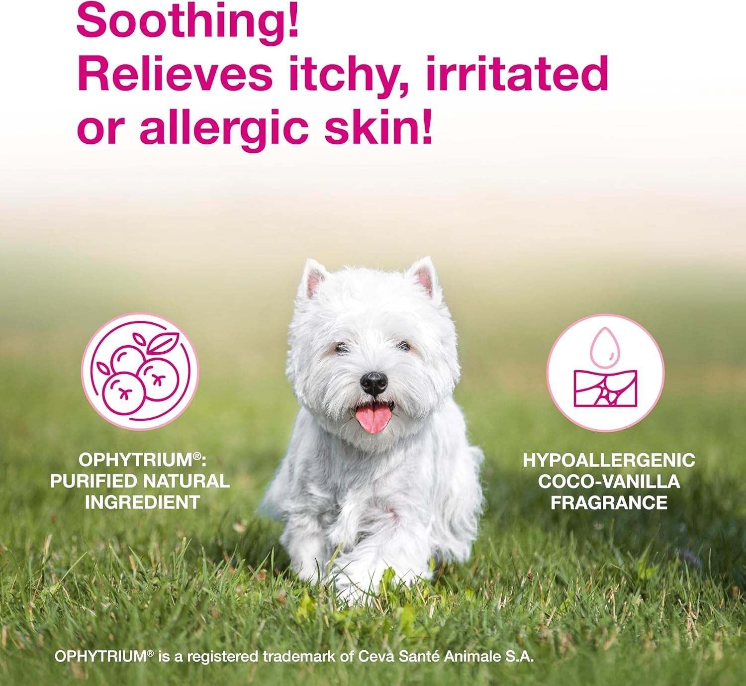 S3 Calm Shampoo, Contains 0.75% Ophytrium, Soothing, for Itchy, Irritated or Allergic Skin, for Dogs and Cats, 6.7 Fl. Oz. (200Ml)