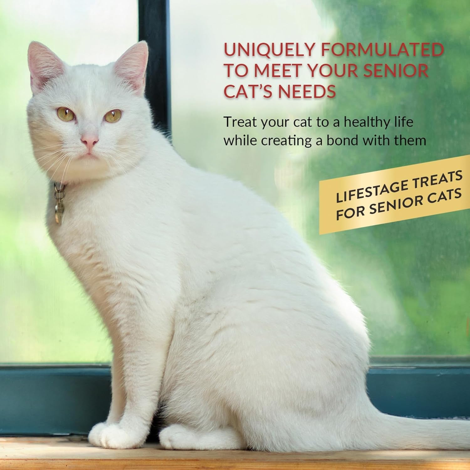 Churu for Senior 10+, Creamy Lickable Cat Treats with Taurine, Vitamin E & C, 0.5 Ounces Each, 40 Tubes, Tuna & Chicken Variety