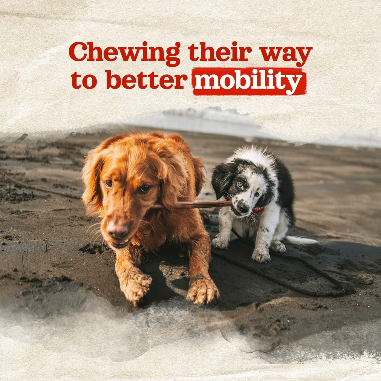 Odor-Free Collagen Chews, (12-Inch, 12-Pack), Long Lasting Bully Sticks & Rawhide Alternative Dog Treats, 95% Collagen, High Protein Best Dental Dog Treats – Medium & Large Dogs